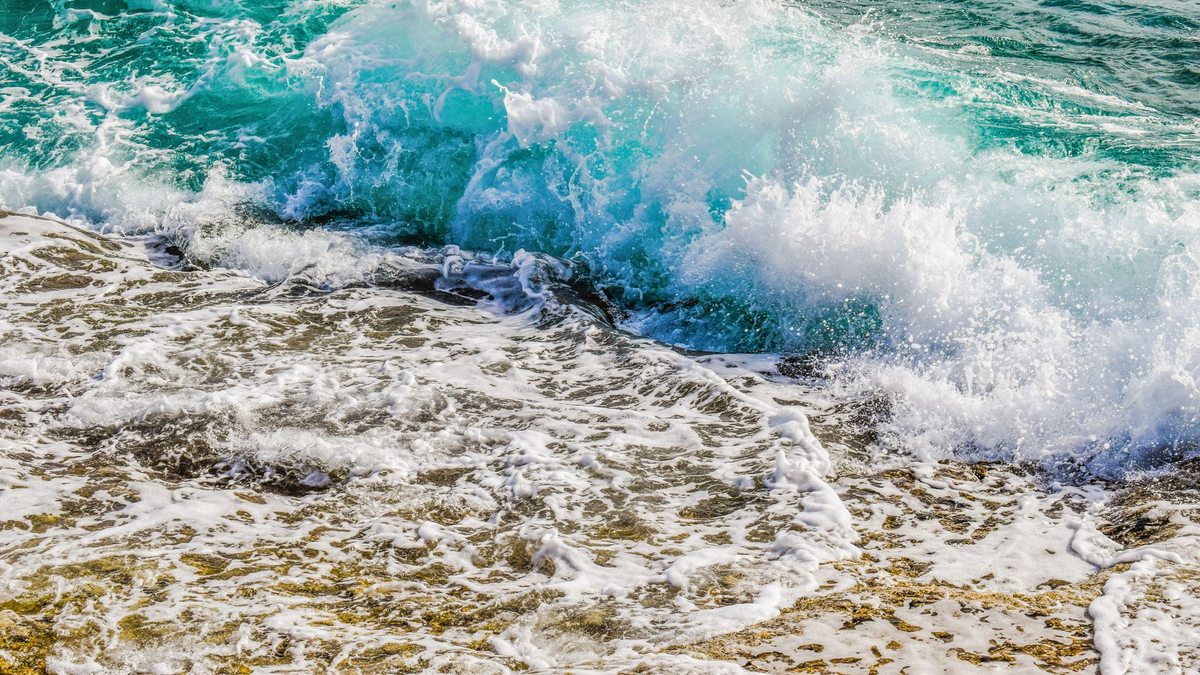 How do you cycle a new saltwater reef aquarium the right way in 2028?
