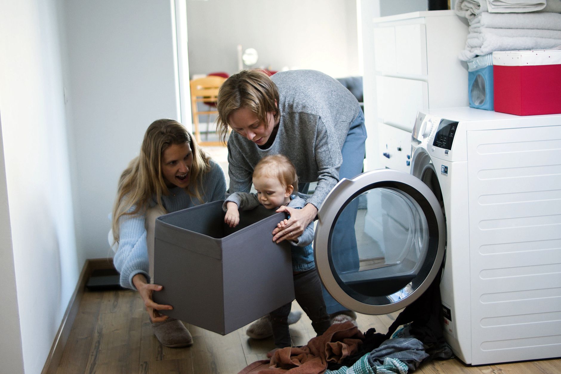 How do you introduce a second dog into a one-dog household in 2028 — figure 2