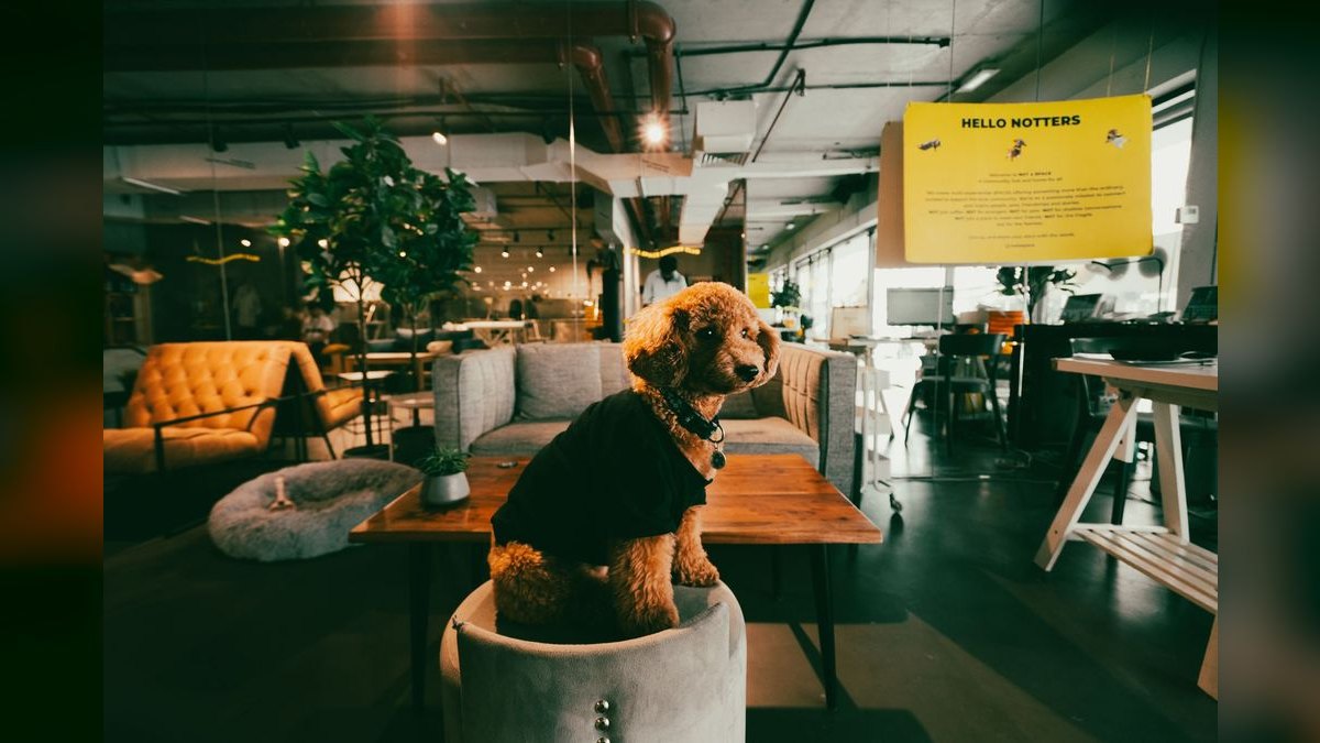 Is a Datadog AE role still good for my career in 2027 — figure 6