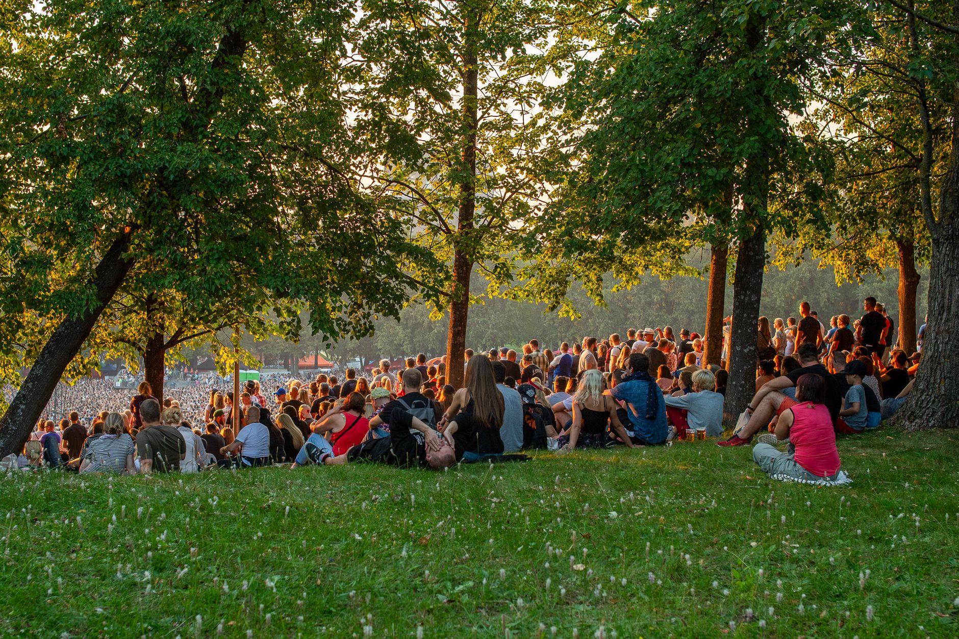 What are the best outdoor concerts to see this summer — figure 5
