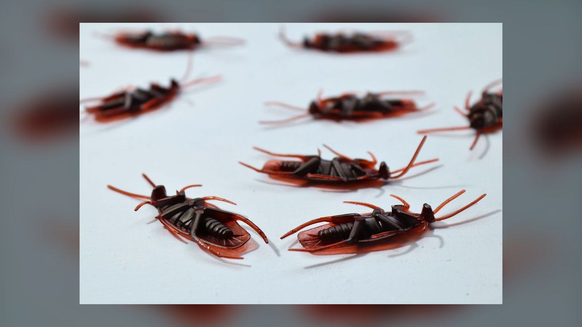 How do you start a pest control business in 2027 — figure 10