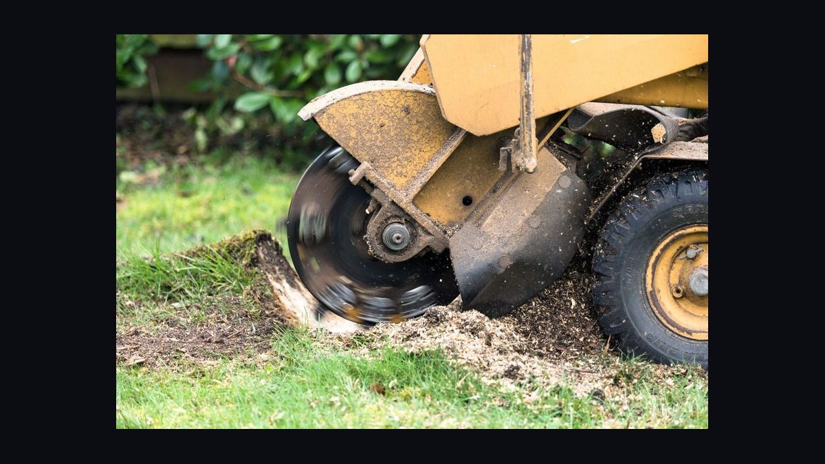 How do you start a stump grinding business in 2027 — figure 2