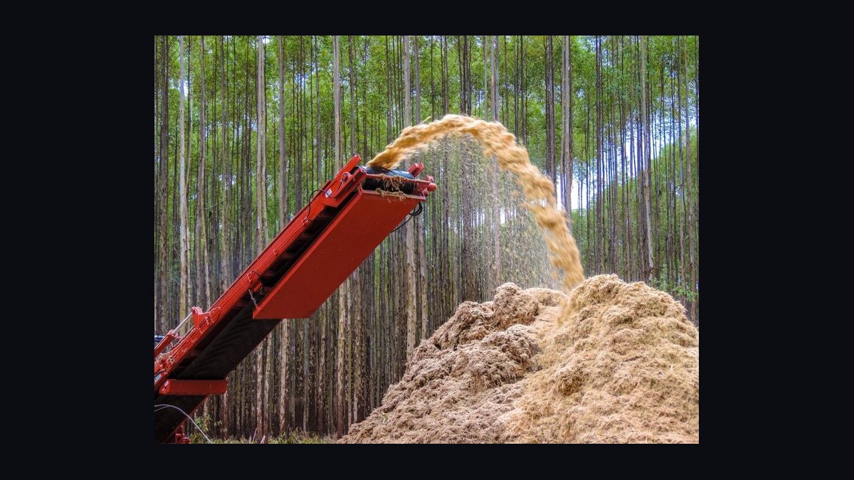 How do you start a stump grinding business in 2027 — figure 4