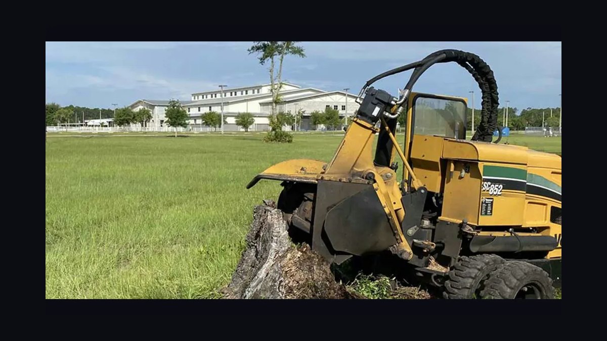 How do you start a stump grinding business in 2027?