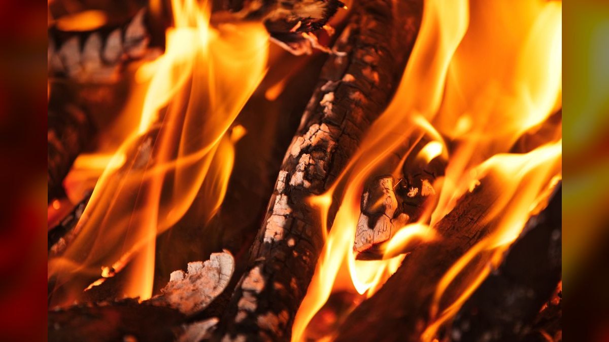 When should a sales leader fire a high-performer for cultural reasons (toxicity, manipulation, undermining peers) — figure 1