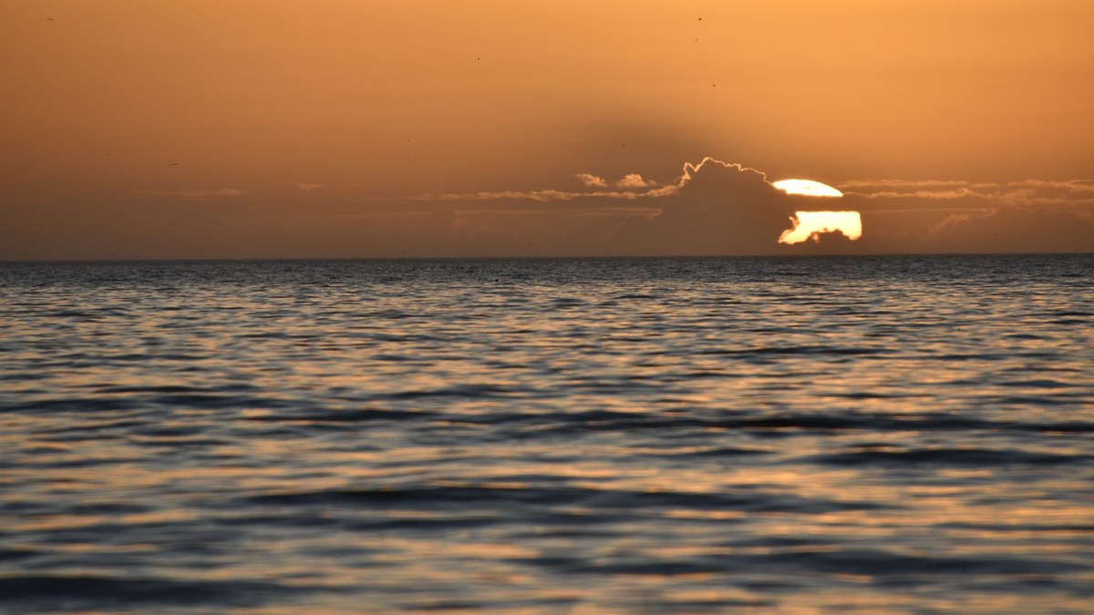 What's the right way to sunset a sales-tech tool the team has gotten comfortable with but isn't producing ROI?