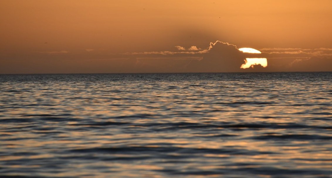 What's the right way to sunset a sales-tech tool the team has gotten comfortable with but isn't producing ROI in 2027?
