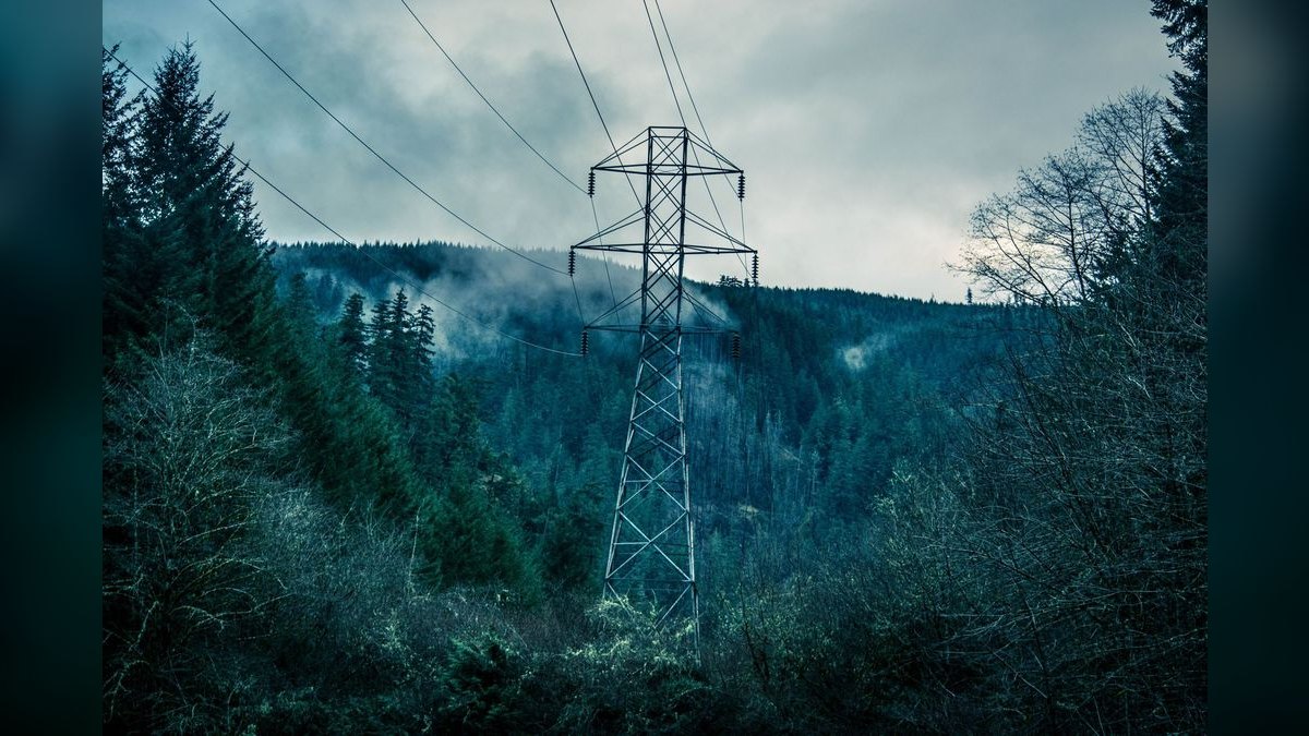 How do you discover and map the "power dynamic" before it kills your deal — figure 3