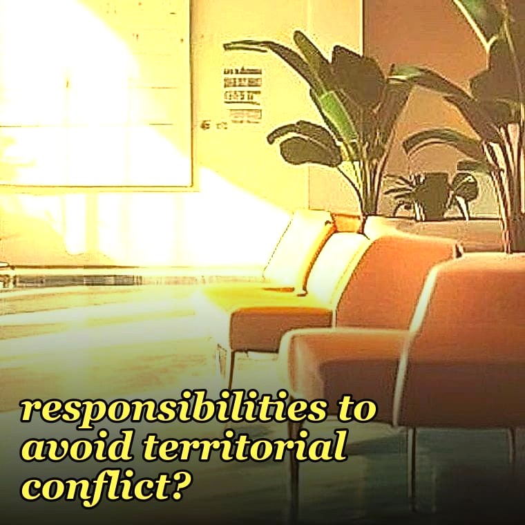 How should sales ops and IT split responsibilities to avoid territorial conflict?