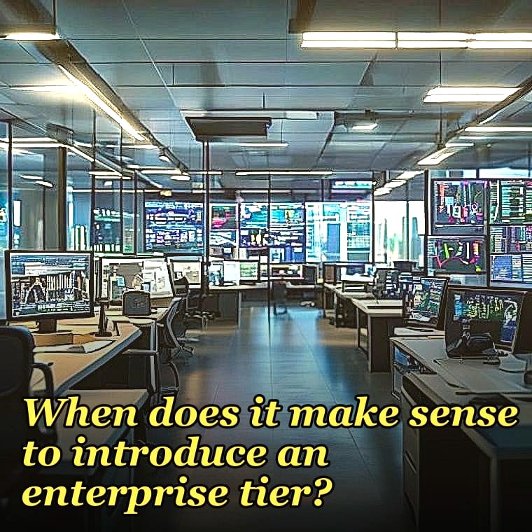 When does it make sense to introduce an enterprise tier?