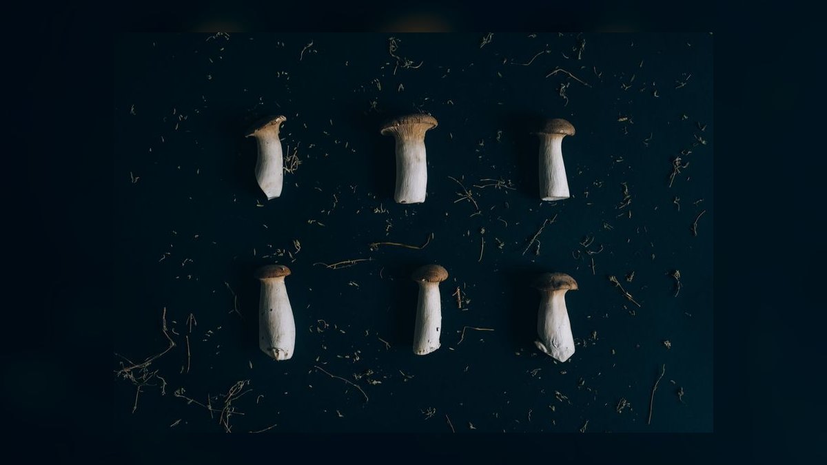 How do you start a mushroom farming business in 2027 — figure 10