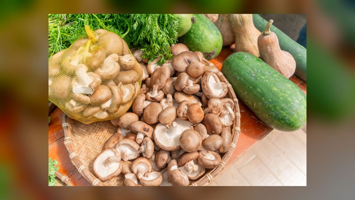How do you start a mushroom farming business in 2027 — figure 8