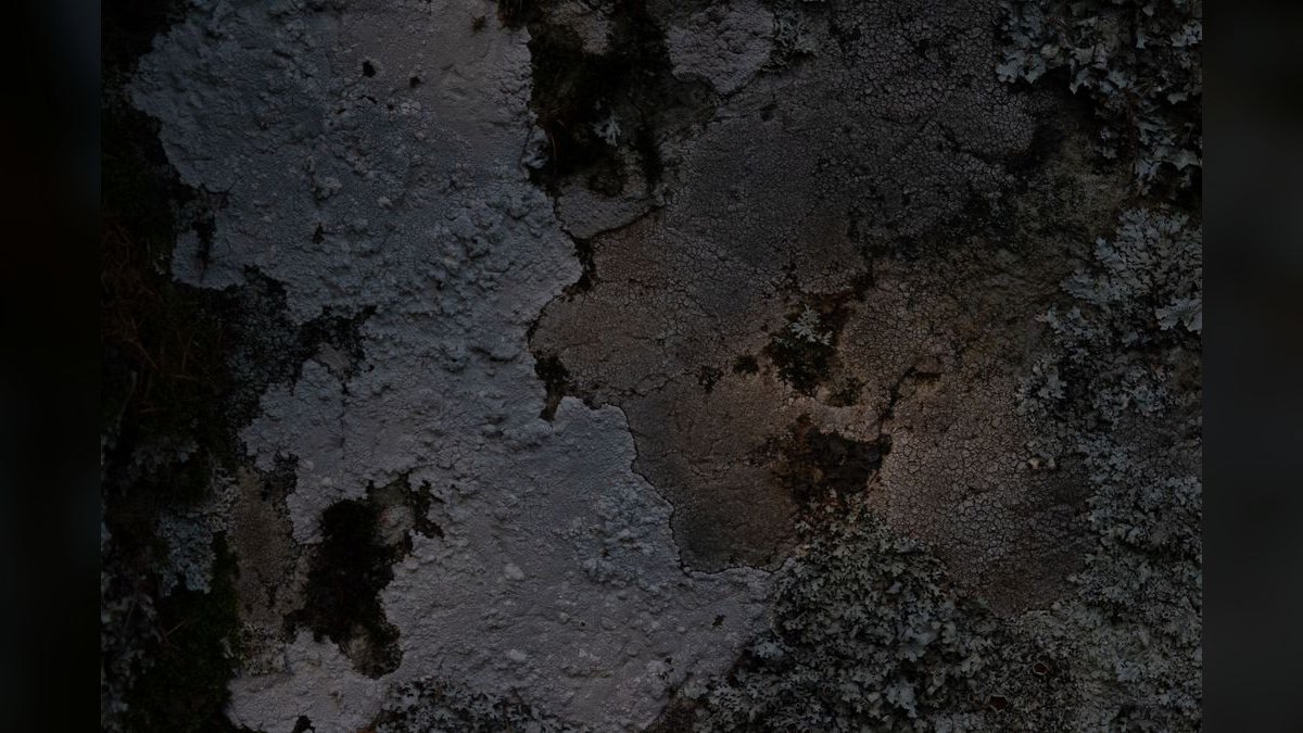 How do you start a mold remediation business in 2027 — figure 3