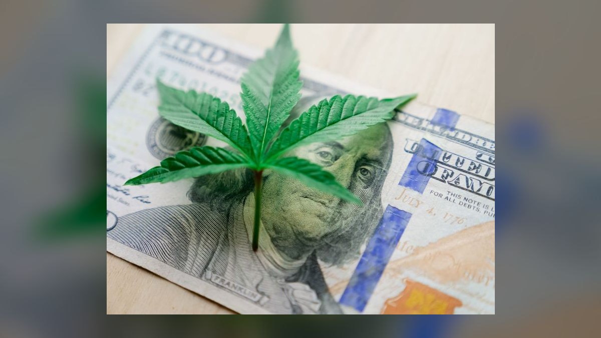 Revenue Architecture for Cannabis Dispensary + Seed-to-Sale Software in 2027 (Federal-Banking-Prohibition Payment Flywheel, METRC Compliance Moat, MSO Roll-Up Wave) — figure 7