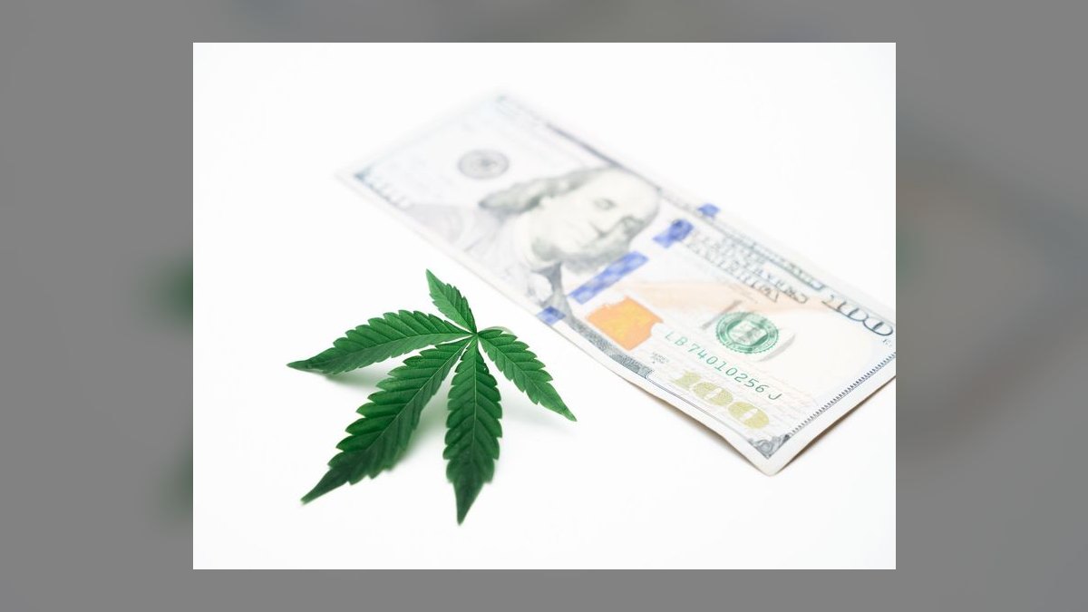 Revenue Architecture for Cannabis Dispensary + Seed-to-Sale Software in 2027 (Federal-Banking-Prohibition Payment Flywheel, METRC Compliance Moat, MSO Roll-Up Wave) — figure 8