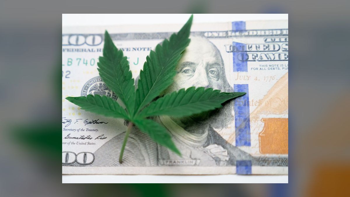 Revenue Architecture for Cannabis Dispensary + Seed-to-Sale Software in 2027 (Federal-Banking-Prohibition Payment Flywheel, METRC Compliance Moat, MSO Roll-Up Wave) — figure 9