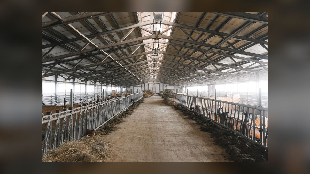 Revenue Architecture for Livestock Auction + Cattle Marketplace + Cattle-Management Software in 2027 (USDA ADT EID-Tag Mandate, Video-Auction Per-Head Commission, Virtual-Fence Disruption) — figure 6