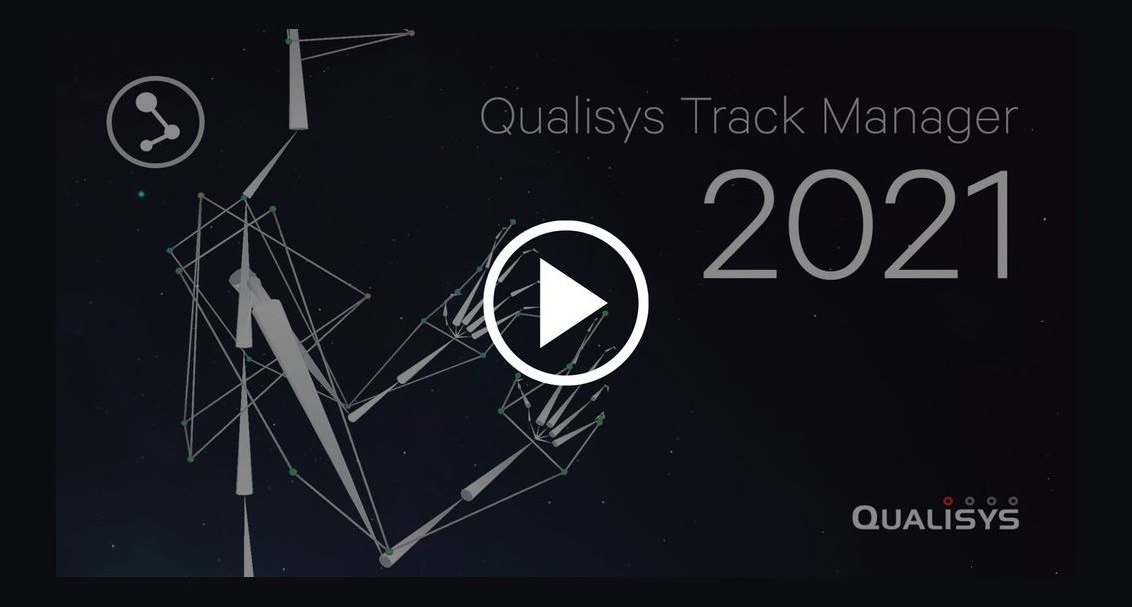 AE Specialist Track vs Manager Track Career Design in 2027