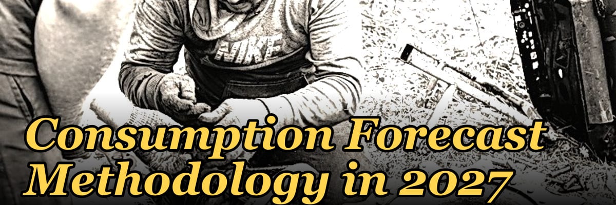 Consumption Forecast Methodology in 2027
