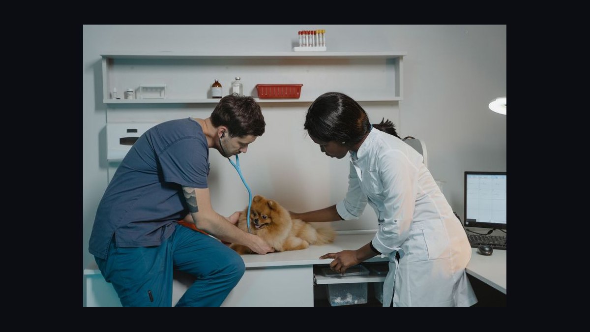 How do you architect revenue operations for Veterinary in 2027?