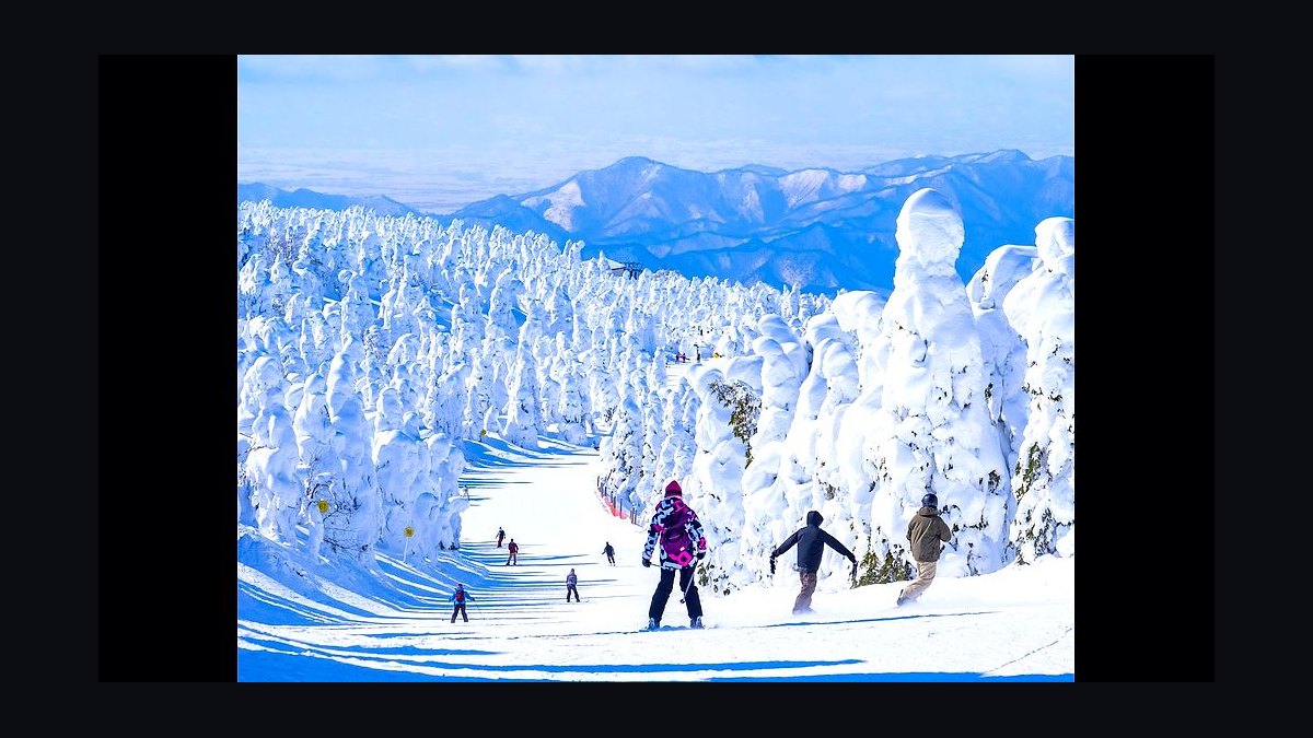 The 10 Best Powder Ski Resorts in Japan for 2027 — figure 9