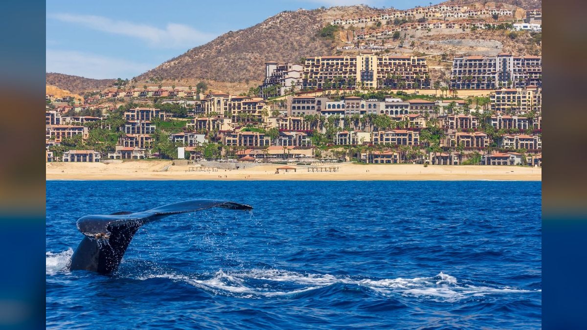 Top 10 Luxury Resorts in California for 2027 — figure 5