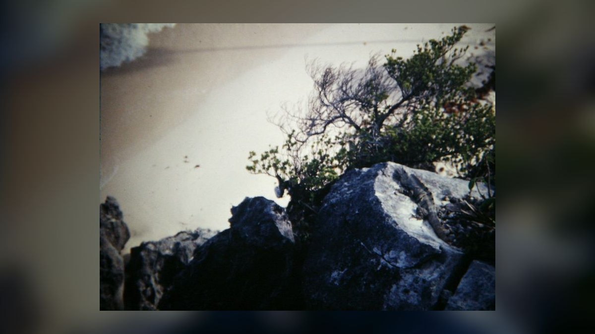 Top 10 Resorts in Tulum — figure 9