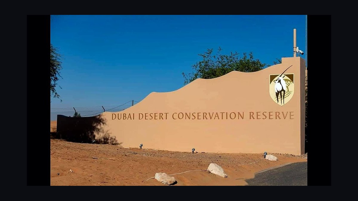 Top 10 Resorts in Dubai in 2027 — figure 6