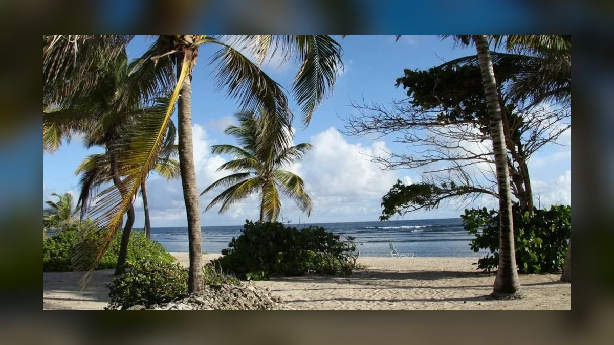Top 10 Resorts in US Virgin Islands in 2027 — figure 9
