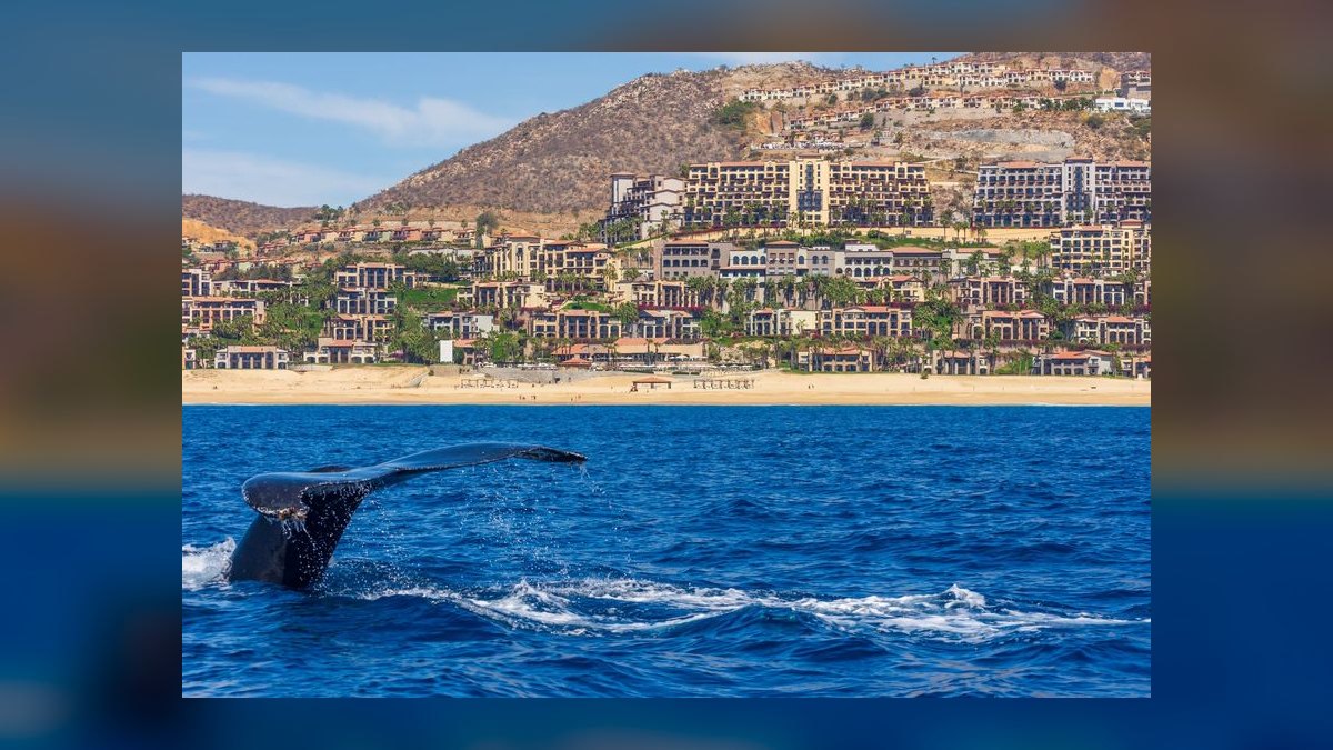 Top 10 Resorts in Cabo San Lucas in 2027 — figure 9