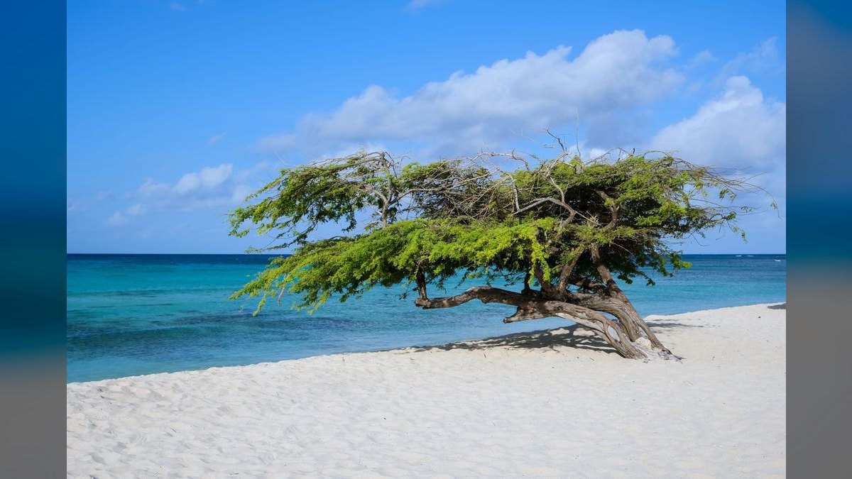 Top 10 All-Inclusive Resorts in Aruba — figure 6