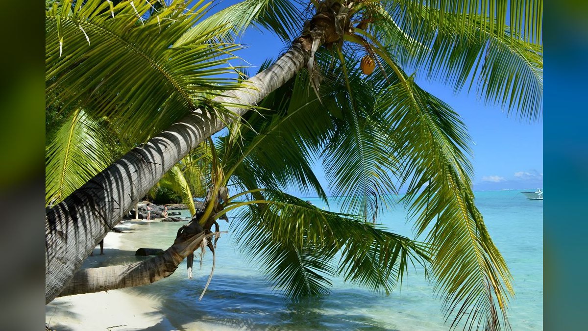 Top 10 All-Inclusive Resorts in Bora Bora in 2027
