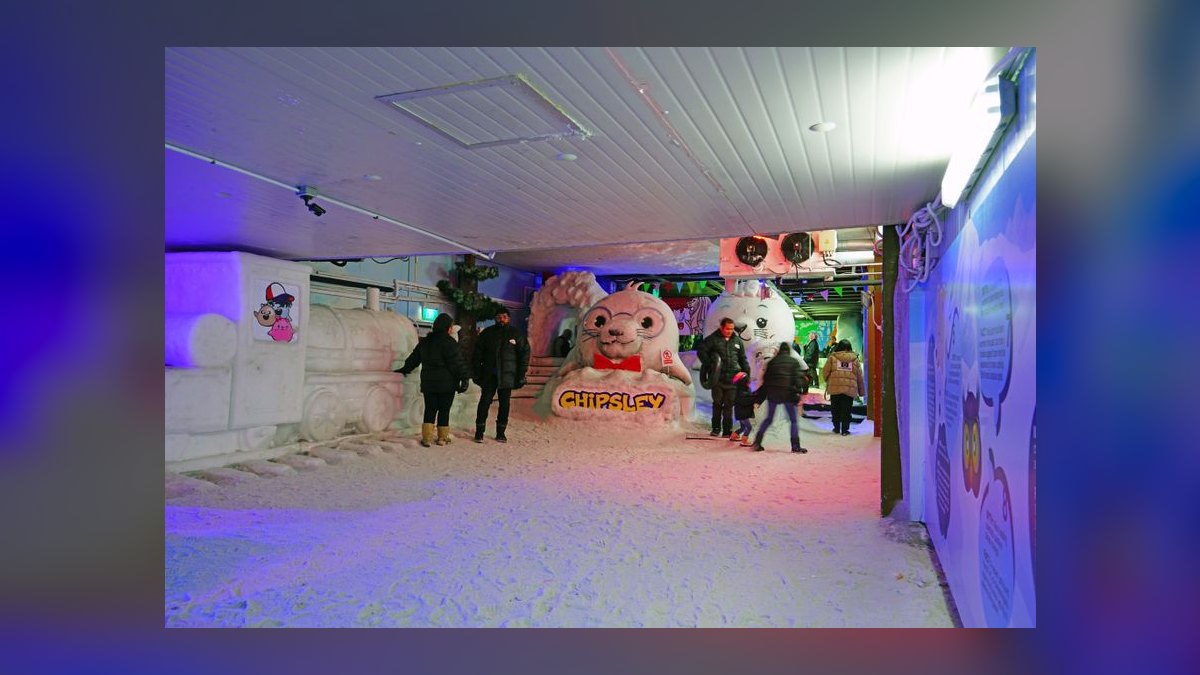 Top 10 Ski Resorts in Singapore in 2027 — figure 10