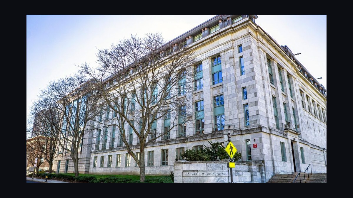 Top 10 Medical Schools in 2027
