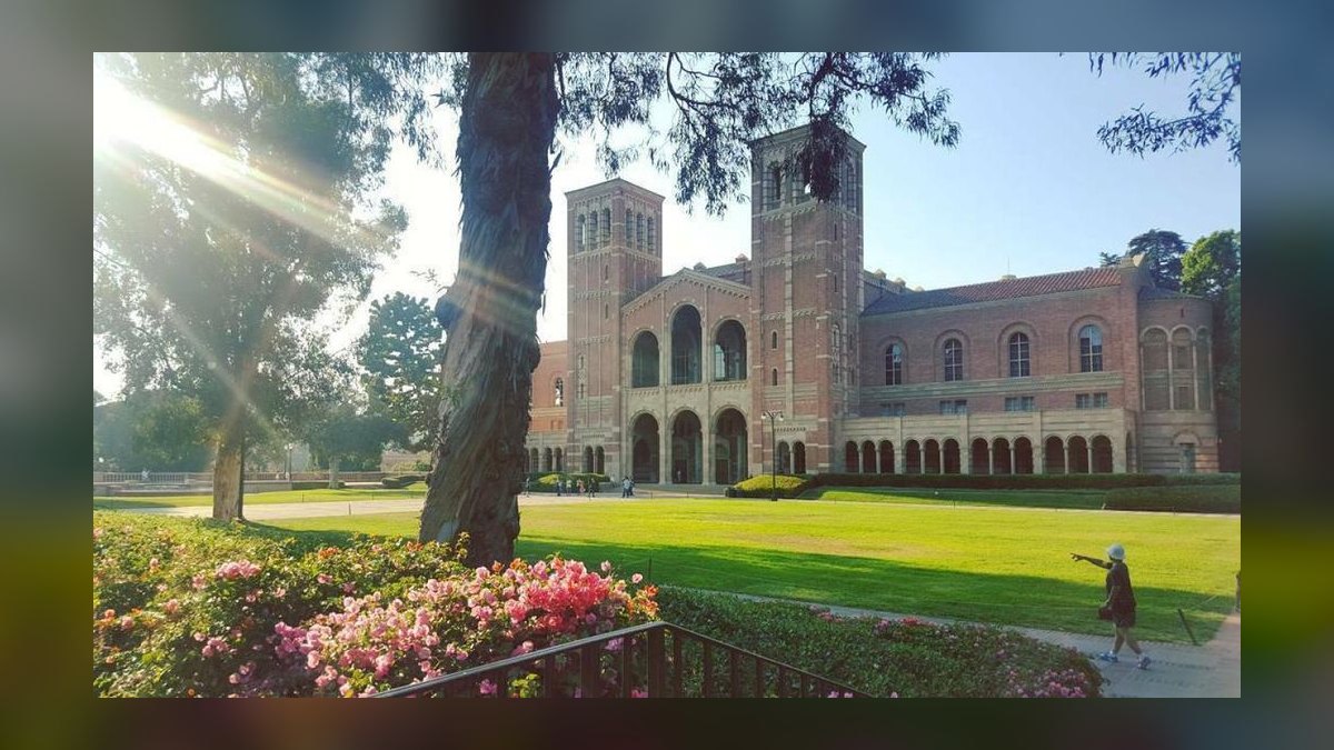 Top 10 Universities for Education in 2027 — figure 7