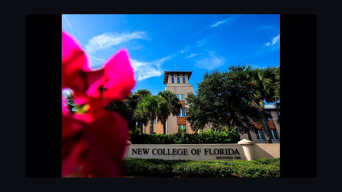 Top 10 Public Universities in Florida in 2027 — figure 10