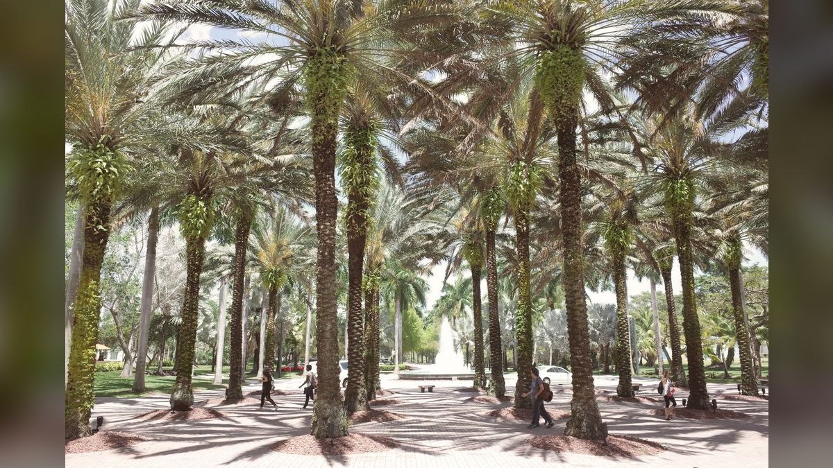 Top 10 Public Universities in Florida in 2027 — figure 4