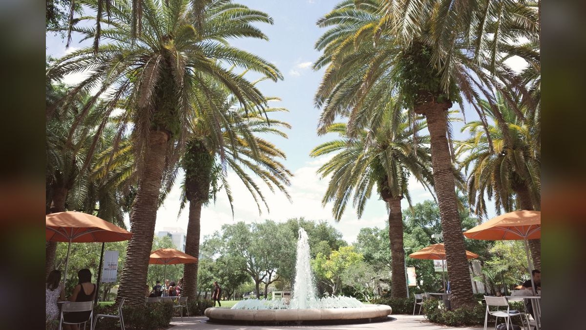 Top 10 Public Universities in Florida in 2027 — figure 5