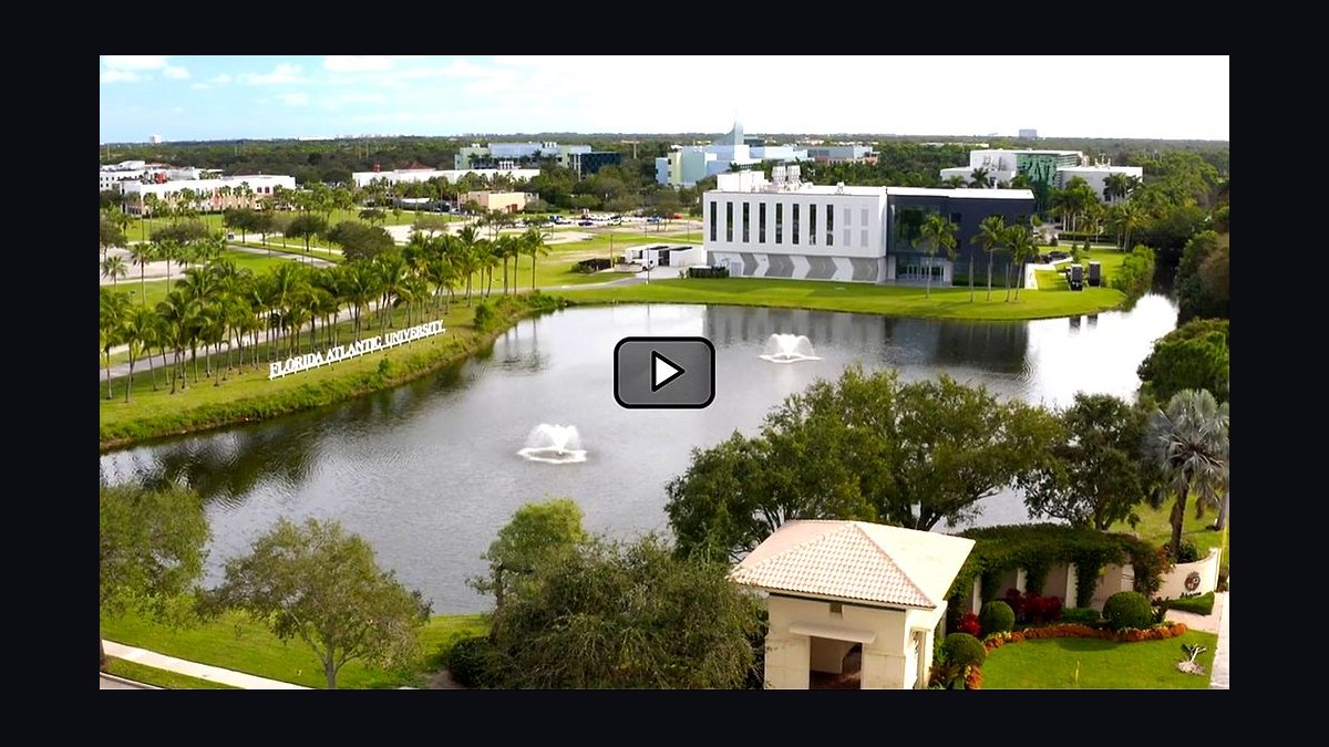 Top 10 Public Universities in Florida in 2027 — figure 8