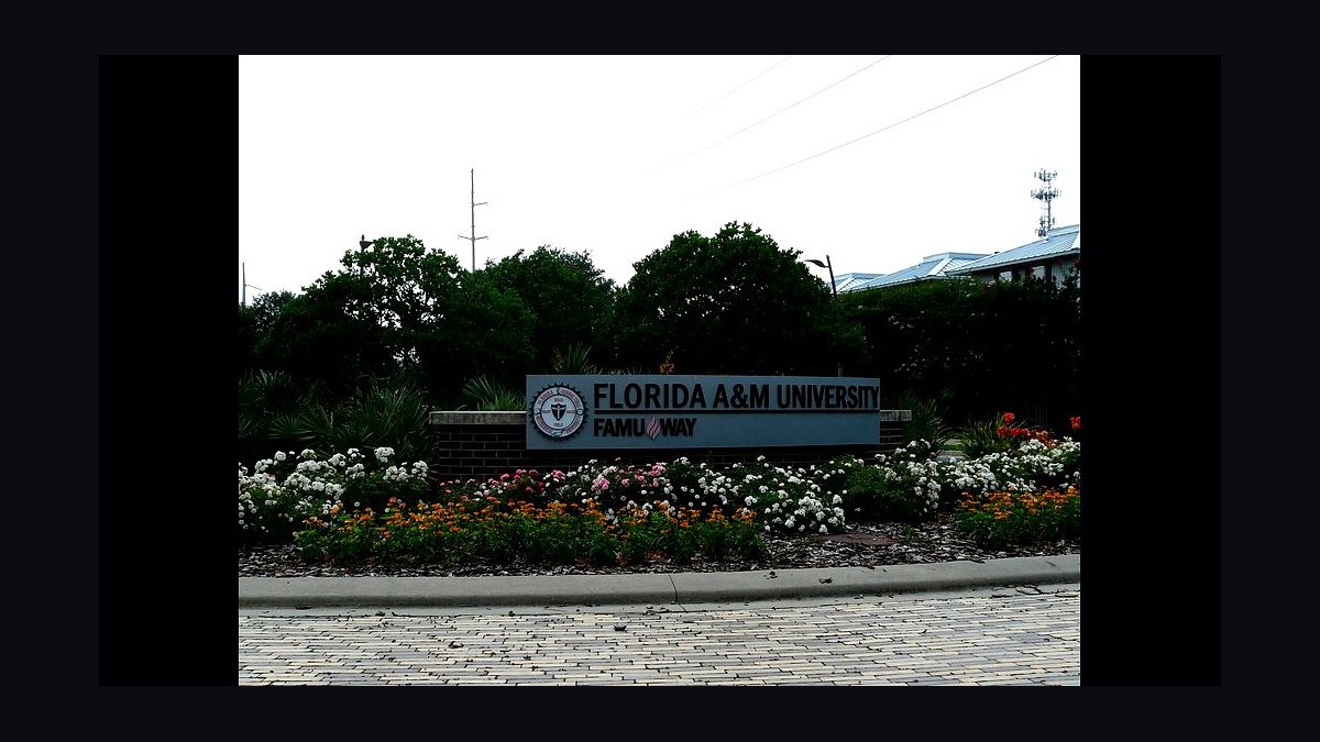 Top 10 Public Universities in Florida in 2027 — figure 9