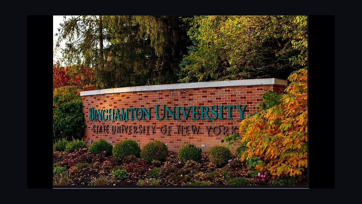 Top 10 Public Universities in New York in 2027 — figure 1