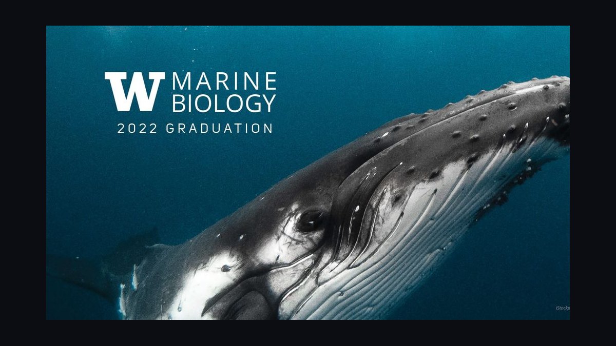 Top 10 Universities for Marine Biology in 2027 — figure 8