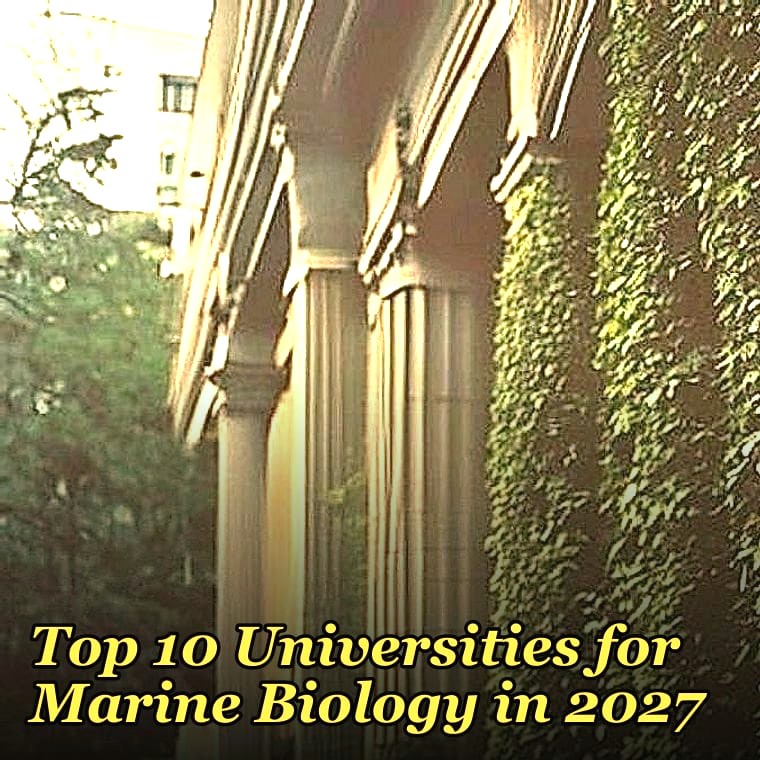 Top 10 Universities for Marine Biology in 2027