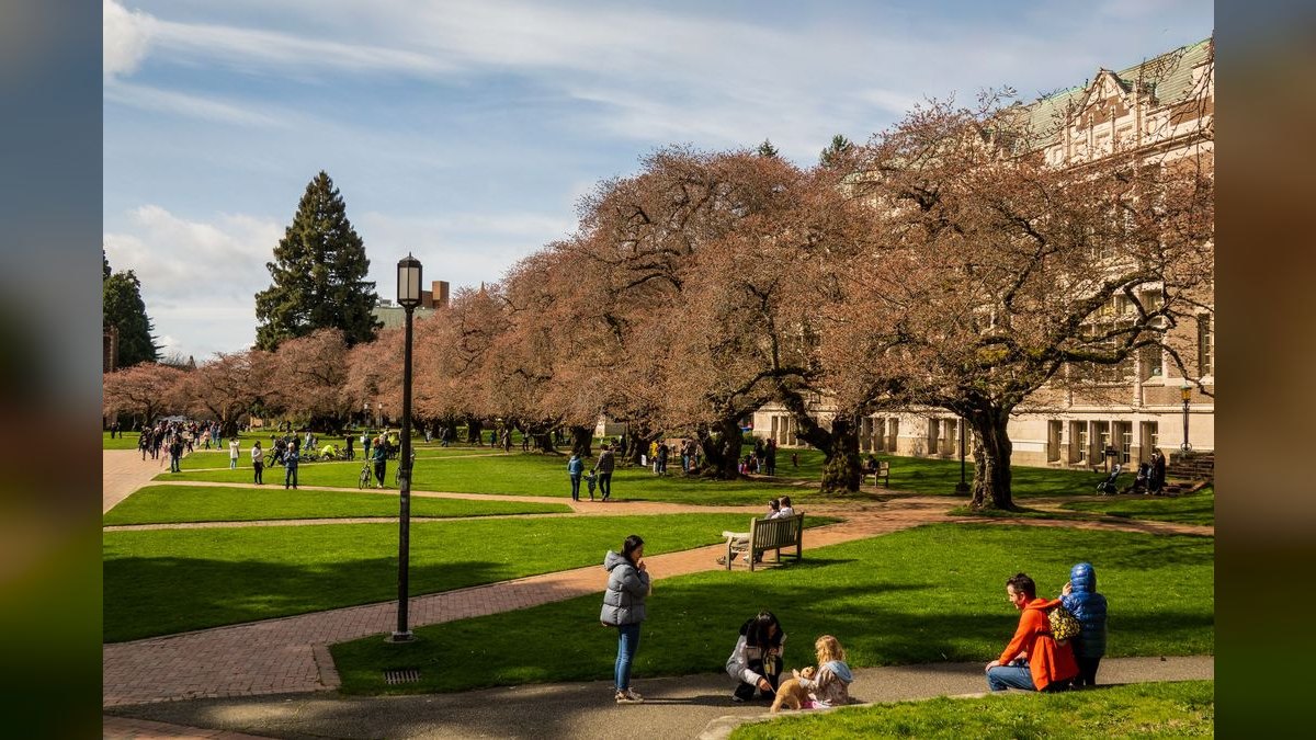 Top 10 Public Universities in Washington in 2027 — figure 3