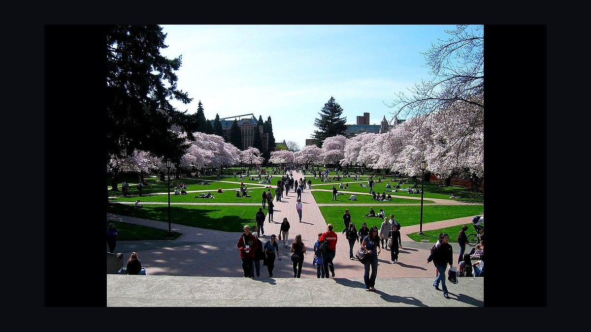 Top 10 Public Universities in Washington in 2027