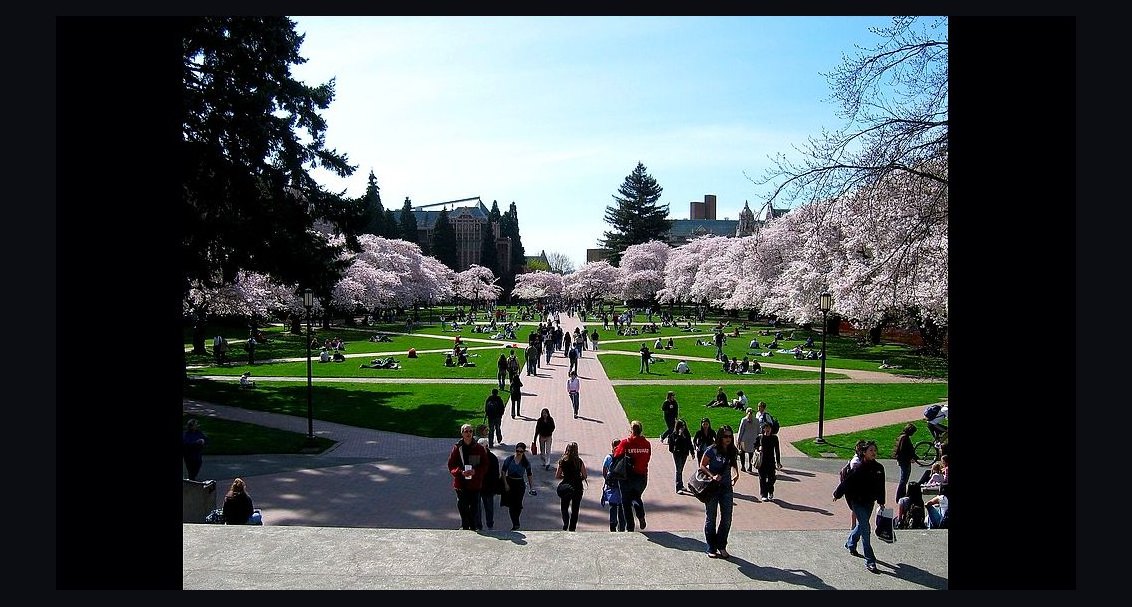 Top 10 Public Universities in Washington in 2027