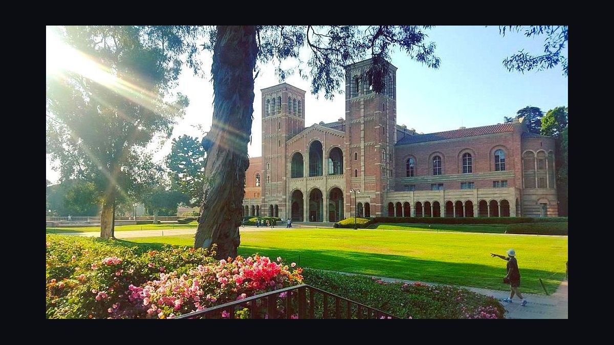 Top 10 Best Colleges for Transfer Students in 2027