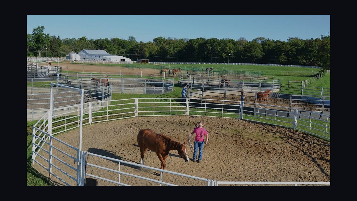 Top 10 Universities for Equine Studies in 2027 — figure 7