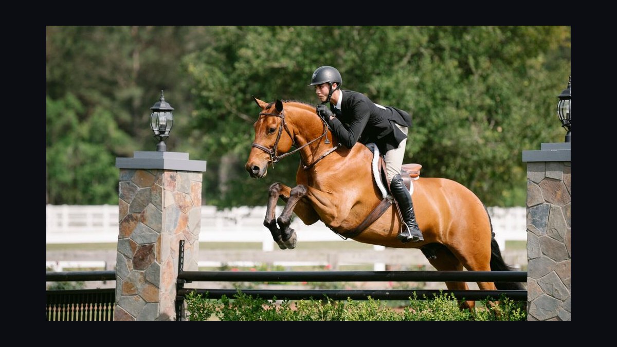 Top 10 Universities for Equine Studies in 2027 — figure 9
