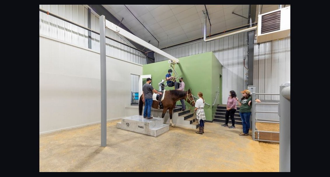 Top 10 Universities for Equine Studies in 2027